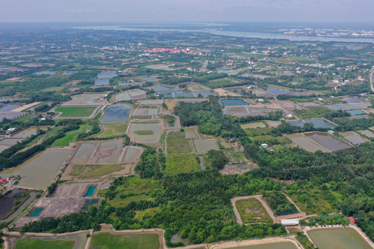 Ảnh minh họa Ảnh minh họa