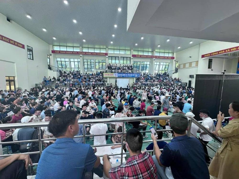 Lô đất trúng cao nhất hơn 100 triệu đồng/m2 trong vụ đấu giá thu hút 1.600 người tham gia ở Thanh Oai bị bỏ cọc