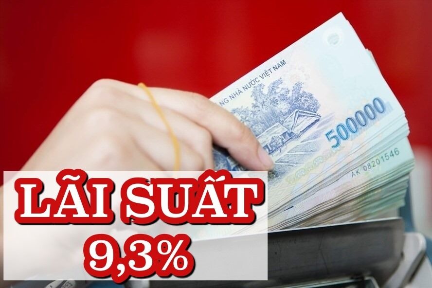Top ngân hàng gửi tiền tiết kiệm có lãi suất lời nhất