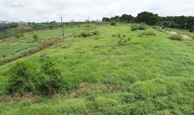Nhiều siêu dự án hoang hóa, không bóng người ở Lâm Đồng - Ảnh 16.