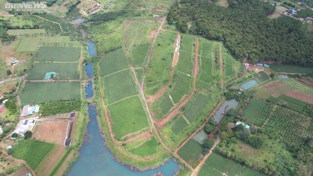 Nhiều siêu dự án hoang hóa, không bóng người ở Lâm Đồng - Ảnh 15. Nhiều siêu dự án hoang hóa, không bóng người ở Lâm Đồng - Ảnh 15.