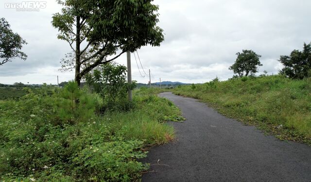 Nhiều siêu dự án hoang hóa, không bóng người ở Lâm Đồng - Ảnh 13. Nhiều siêu dự án hoang hóa, không bóng người ở Lâm Đồng - Ảnh 13.