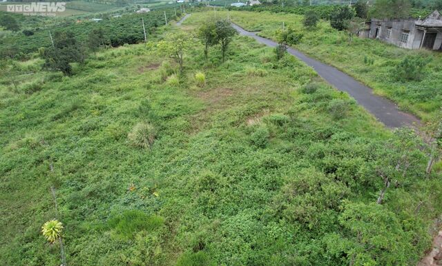 Nhiều siêu dự án hoang hóa, không bóng người ở Lâm Đồng - Ảnh 12. Nhiều siêu dự án hoang hóa, không bóng người ở Lâm Đồng - Ảnh 12.