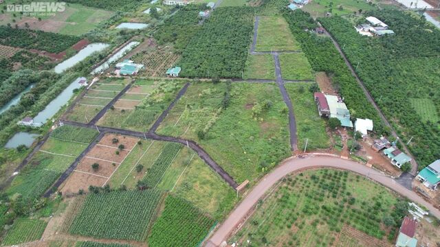 Nhiều siêu dự án hoang hóa, không bóng người ở Lâm Đồng - Ảnh 11. Nhiều siêu dự án hoang hóa, không bóng người ở Lâm Đồng - Ảnh 11.