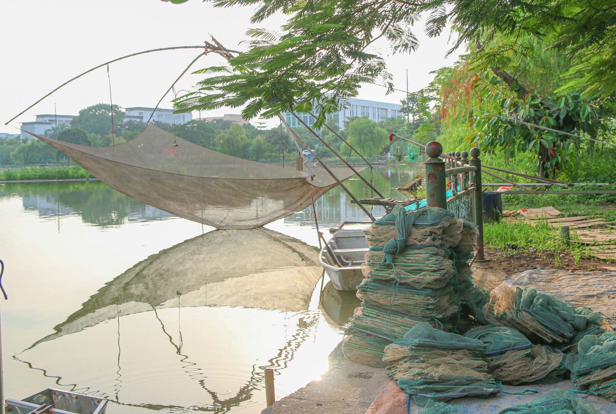 Công viên 16 ha ở Hà Nội bỏ hoang thành nơi trồng rau, đánh cá - Ảnh 8. Công viên 16 ha ở Hà Nội bỏ hoang thành nơi trồng rau, đánh cá - Ảnh 8.