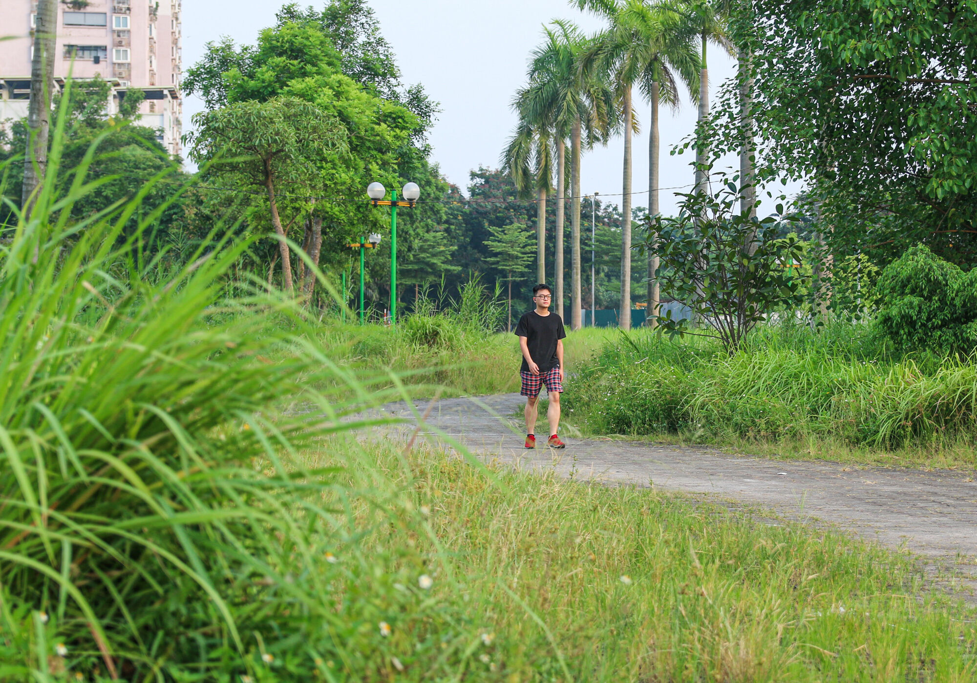 Công viên 16 ha ở Hà Nội bỏ hoang thành nơi trồng rau, đánh cá - Ảnh 12. Công viên 16 ha ở Hà Nội bỏ hoang thành nơi trồng rau, đánh cá - Ảnh 12.