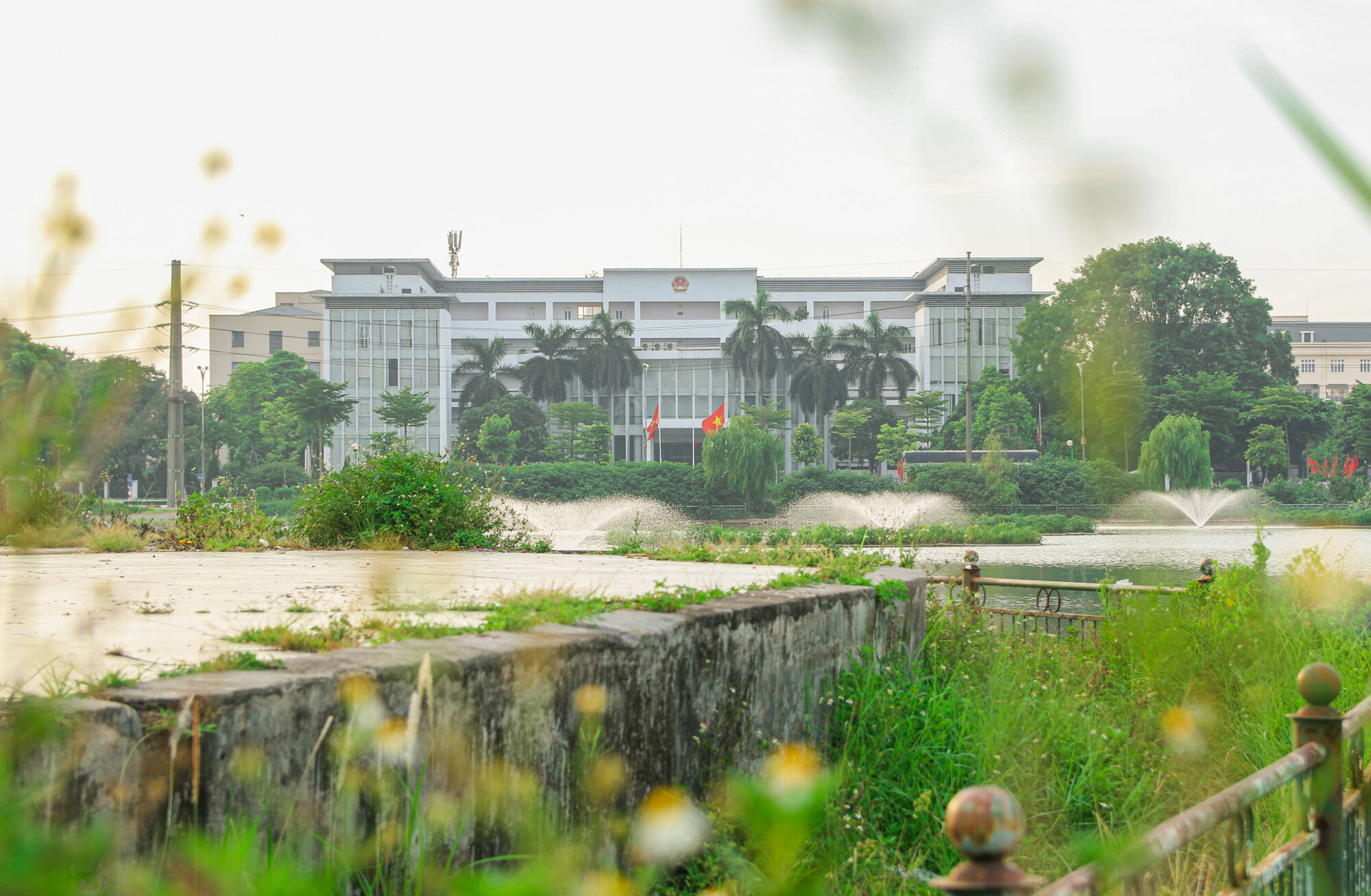 Công viên 16 ha ở Hà Nội bỏ hoang thành nơi trồng rau, đánh cá - Ảnh 3. Công viên 16 ha ở Hà Nội bỏ hoang thành nơi trồng rau, đánh cá - Ảnh 3.