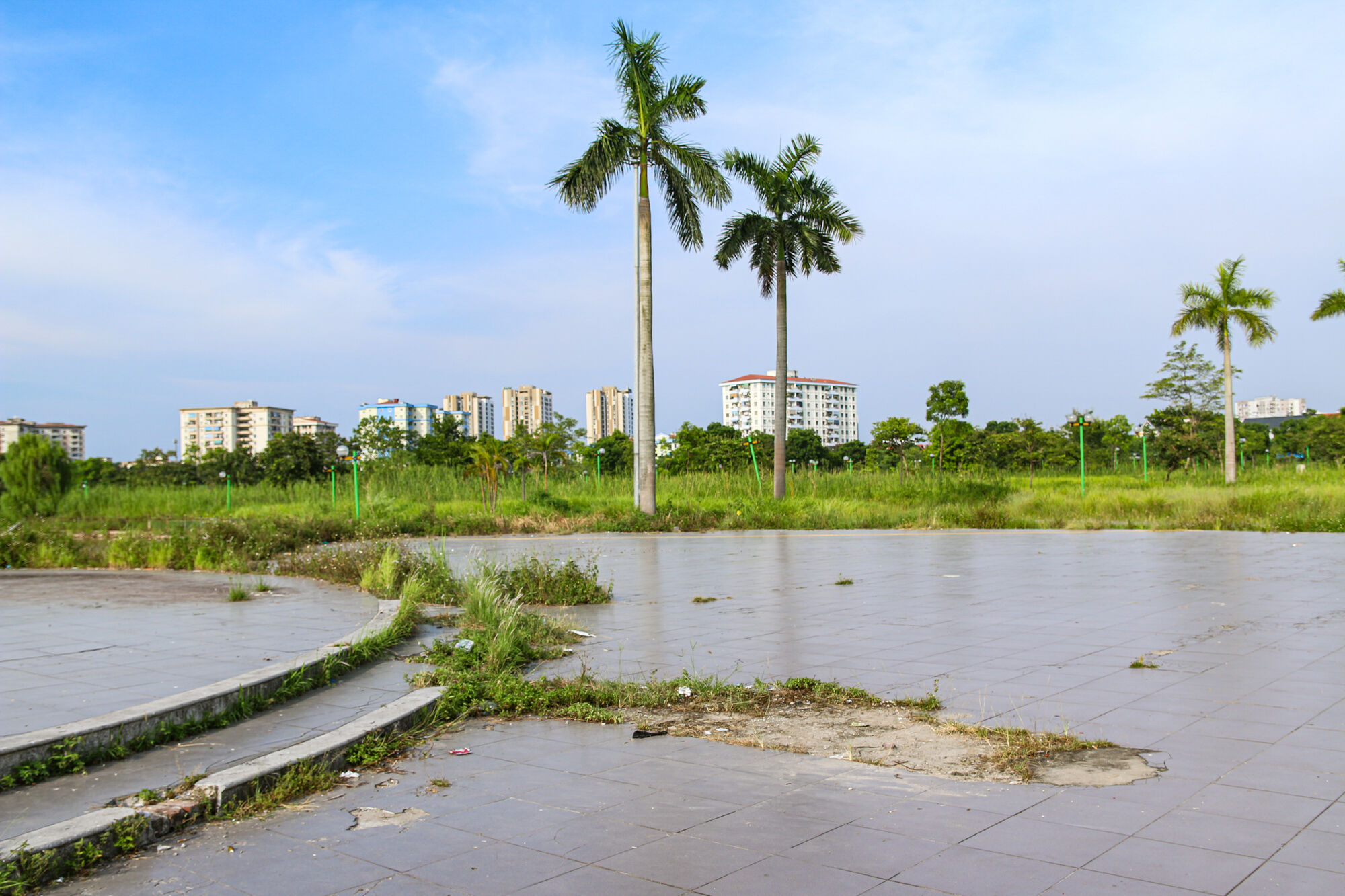 Công viên 16 ha ở Hà Nội bỏ hoang thành nơi trồng rau, đánh cá - Ảnh 10. Công viên 16 ha ở Hà Nội bỏ hoang thành nơi trồng rau, đánh cá - Ảnh 10.