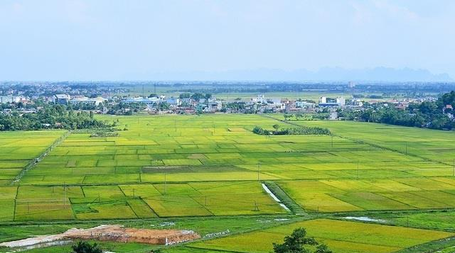 Thủ tướng chỉ đạo tháo gỡ vướng mắc trong việc thực hiện quản lý, sử dụng đất, giao đất, định giá đất