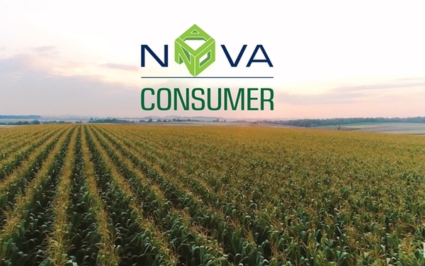 Nova Consumer trước thềm lên sàn: Thua lỗ, cho công ty vốn 90 tỷ vay hàng trăm tỷ