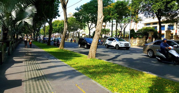 Mức thu phí sử dụng lòng đường, hè phố trên địa bàn TPHCM từ 1/1/2024
