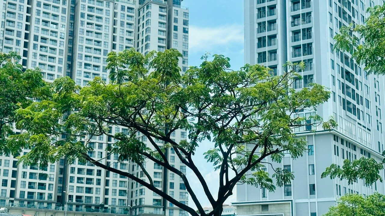 Dự báo thị trường bất động sản Hà Nội những tháng cuối năm 2023