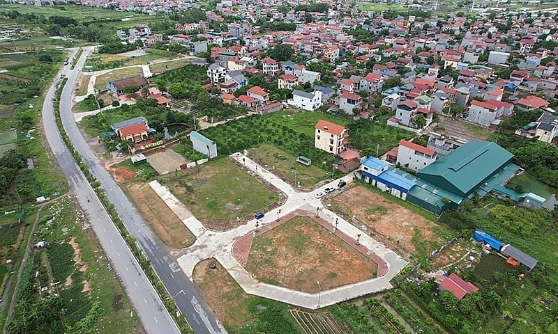 Doanh nghiệp hơn 1 tuổi được giao hơn 1ha đất đấu giá để xây loạt biệt thự ở Hà Nội