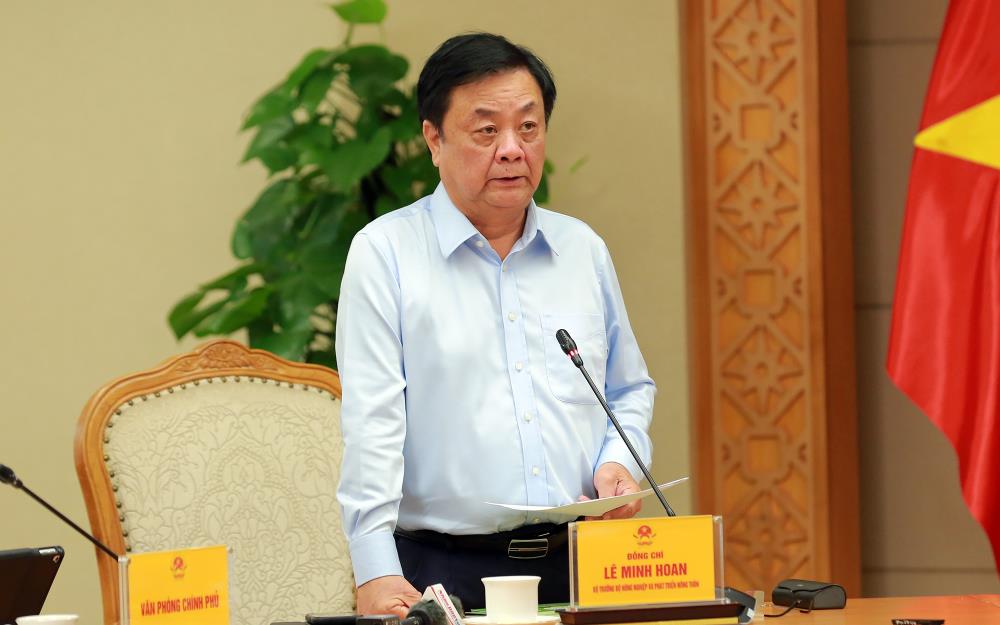 Phó Thủ tướng: Cần có chính sách, công cụ tài chính chống đầu cơ đất đai- Ảnh 2. Phó Thủ tướng: Cần có chính sách, công cụ tài chính chống đầu cơ đất đai- Ảnh 2.