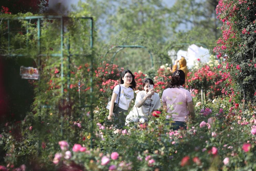 Hà Nội nắng gay gắt, du khách về miền biển với non cao tránh nóng ngày đầu lễ - ảnh 10 Hà Nội nắng gay gắt, du khách về miền biển với non cao tránh nóng ngày đầu lễ - ảnh 10