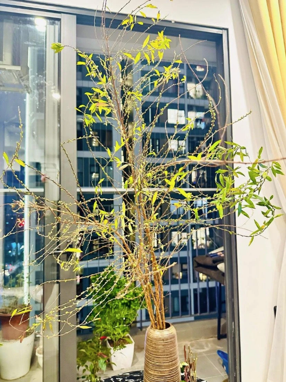 Sở hữu nhà giúp gia đình hạnh phúc hơn Sở hữu nhà giúp gia đình hạnh phúc hơn