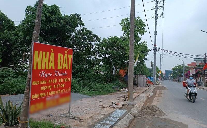Ảnh minh họa Ảnh minh họa