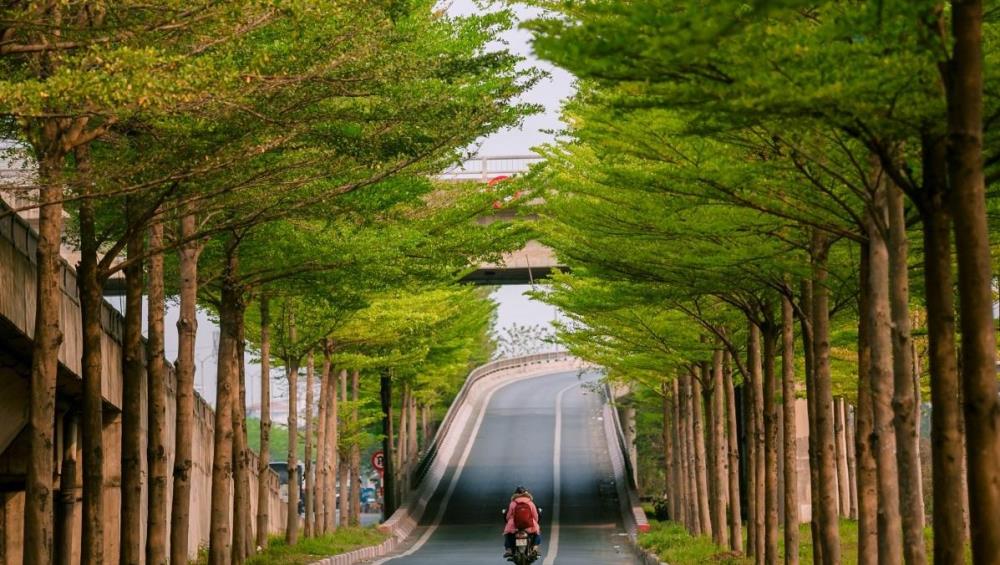 Từ năm 2019 đến nay, trên địa bàn tỉnh Nghệ An có 17 cơ quan, đơn vị đã thực hiện 114 dự án trồng và chăm sóc cây xanh, với tổng mức đầu tư hơn 211,4 tỷ đồng. Từ năm 2019 đến nay, trên địa bàn tỉnh Nghệ An có 17 cơ quan, đơn vị đã thực hiện 114 dự án trồng và chăm sóc cây xanh, với tổng mức đầu tư hơn 211,4 tỷ đồng.