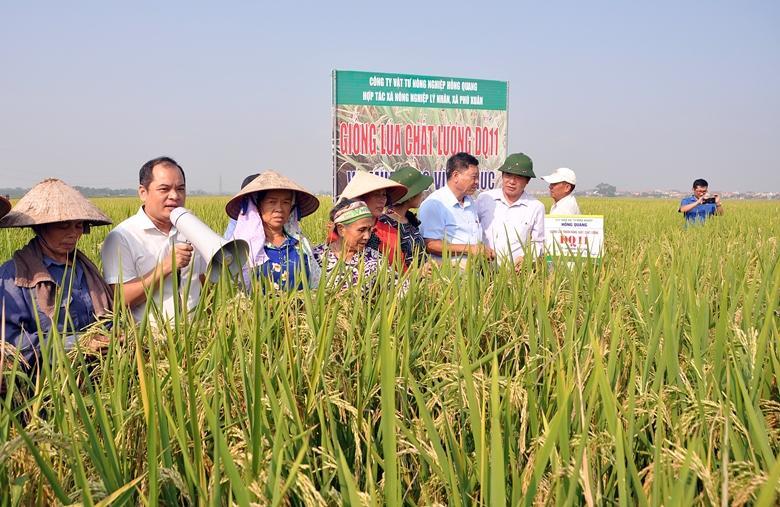 Hợp tác xã Dịch vụ Nông nghiệp Nhân Lý tích cực chuyển đổi các giống lúa chất lượng cao, chăm sóc theo quy trình sản xuất lúa hữu cơ. (Ảnh: Chu Kiều) Hợp tác xã Dịch vụ Nông nghiệp Nhân Lý tích cực chuyển đổi các giống lúa chất lượng cao, chăm sóc theo quy trình sản xuất lúa hữu cơ. (Ảnh: Chu Kiều)