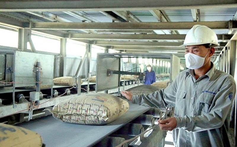 Bộ Tài chính thanh tra Vicem và 3 công ty con - ảnh 2 Bộ Tài chính thanh tra Vicem và 3 công ty con - ảnh 2