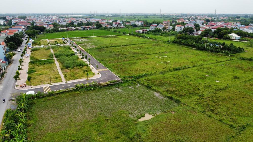Khu đất đấu giá tại Thanh Oai hôm 10/8. Khu đất đấu giá tại Thanh Oai hôm 10/8.