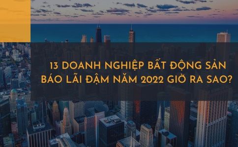 13 doanh nghiệp bất động sản báo lãi đậm năm 2022 giờ ra sao?