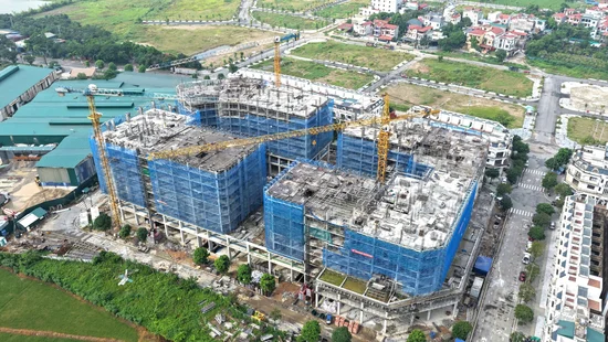 Sugina được Hà Nội giao 2.400 m2 đất xây nhà ở xã hội tại Thư Lâm
