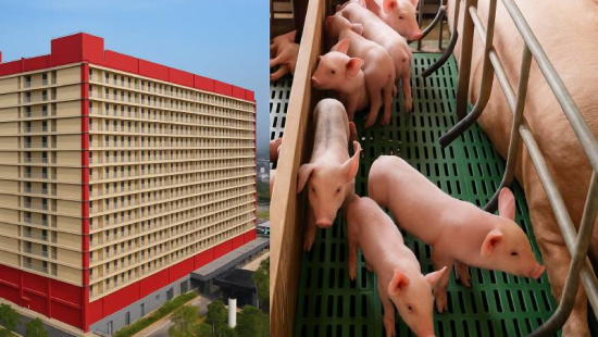 Hà Nội giao loạt Sở ngành nghiên cứu đề xuất xây khu chung cư cao tầng rộng 220ha nuôi lợn của BAF Việt Nam