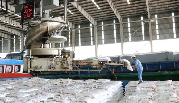 Lợi nhuận tăng khủng, cổ phiếu DCM của Đạm Cà Mau vẫn cắm đầu lao dốc