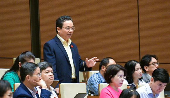 Đại biểu Quốc hội đề xuất người tham gia đấu giá đất phải chứng minh khả năng tài chính