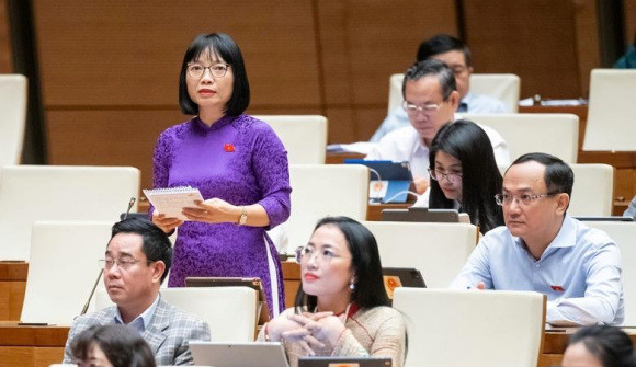 ĐBQH: "Thanh tra nhà ở xã hội, chắc chắn có người không đúng đối tượng ưu đãi"