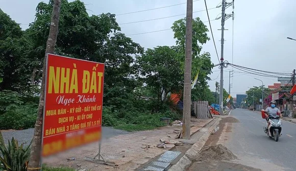 Tiếp đà giảm sâu, cả tháng 5, TP.HCM và vùng phụ cận chỉ bán được 2 lô đất nền