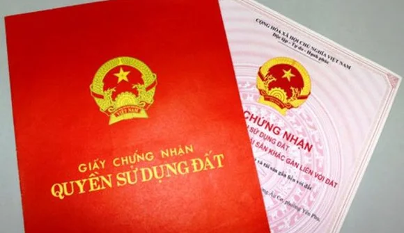 Những loại đất không có giấy tờ nào sẽ được cấp sổ đỏ từ 1/8?