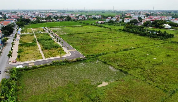 Công ty đấu giá bất ngờ trả cọc, hoãn đấu giá 57 lô đất ở Thanh Oai vào ngày mai