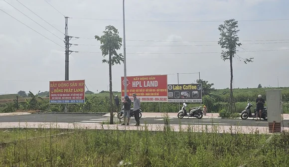 Đất đấu giá xuyên đêm được rao bán chênh hàng trăm triệu đồng mỗi lô