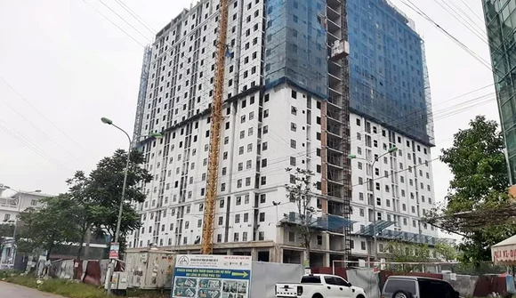 Hải Phòng công bố loạt dự án nhà ở xã hội đủ điều kiện mở bán, giá cao nhất 19,5 triệu đồng/m2