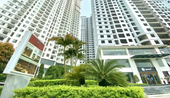 Đất Xanh dành các căn hộ trống tầng 18 chung cư Tecco Elite đón người dân Thái Nguyên vào tránh lũ