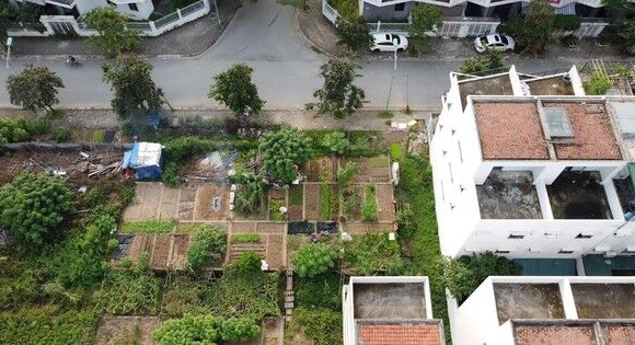 KĐT mới Nam đường 32 bỏ hoang, dân trồng rau trên móng nhà liền kề tiền tỷ