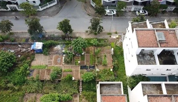 KĐT mới Nam đường 32 bỏ hoang, dân trồng rau trên móng nhà liền kề tiền tỷ