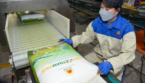Tập đoàn Lộc Trời xuất khẩu gạo “Cơm Việt Nam Rice” sang thị trường châu Âu