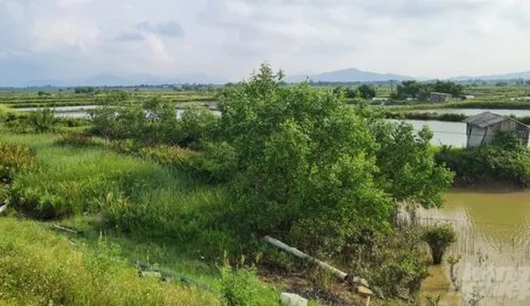 Ecopark rao bán dự án Khu đô thị Hưng Hòa, nhà đầu tư cần cẩn trọng