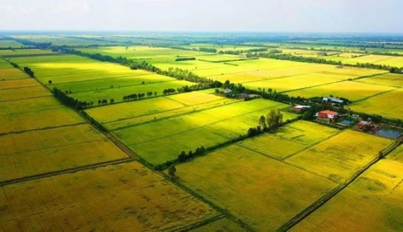 Hướng dẫn thủ tục đề nghị giảm tiền thuê đất mới nhất năm 2023