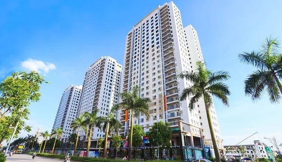 Kinh doanh lao dốc, “ông trùm” môi giới bất động sản miền Bắc thay Tổng giám đốc