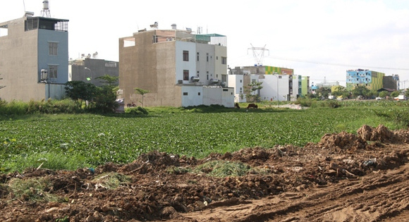 TPHCM chỉ đạo phòng ngừa lừa đảo thông qua mua bán đất nền, căn hộ