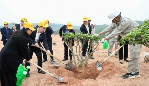 Trồng 25.000 cây phủ xanh 16 ha dự án sân golf tại tỉnh Phú Thọ