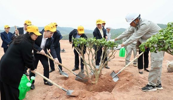 Trồng 25.000 cây phủ xanh 16 ha dự án sân golf tại tỉnh Phú Thọ