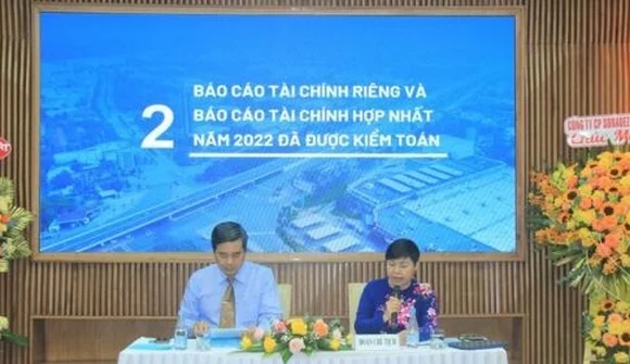 Tranh chấp hợp đồng với REE, Sonadezi bị phong tỏa gần 13 tỷ đồng