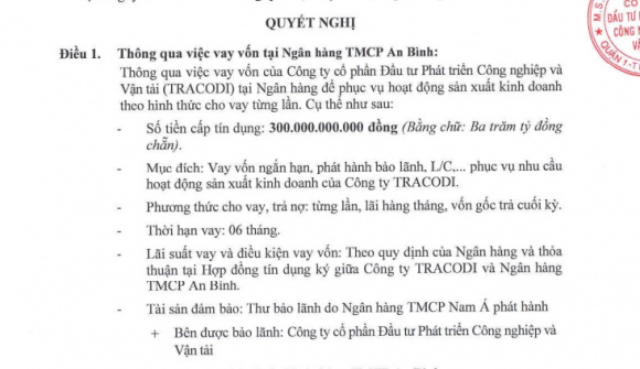 Tracodi dùng tài sản đảm bảo là cổ phiếu, cổ phần của Bamboo Capital để vay tiền