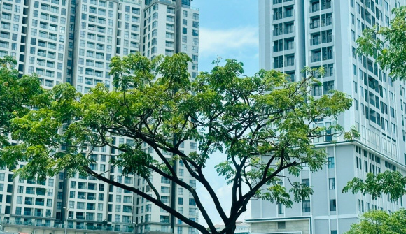 Dự báo thị trường bất động sản Hà Nội những tháng cuối năm 2023