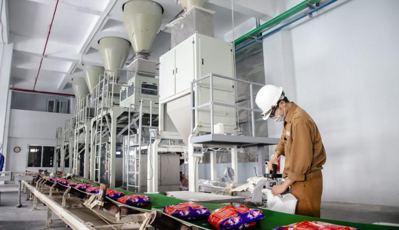 Lợi nhuận sau thuế lệch 10%, Hóa chất Đức Giang phải giải trình